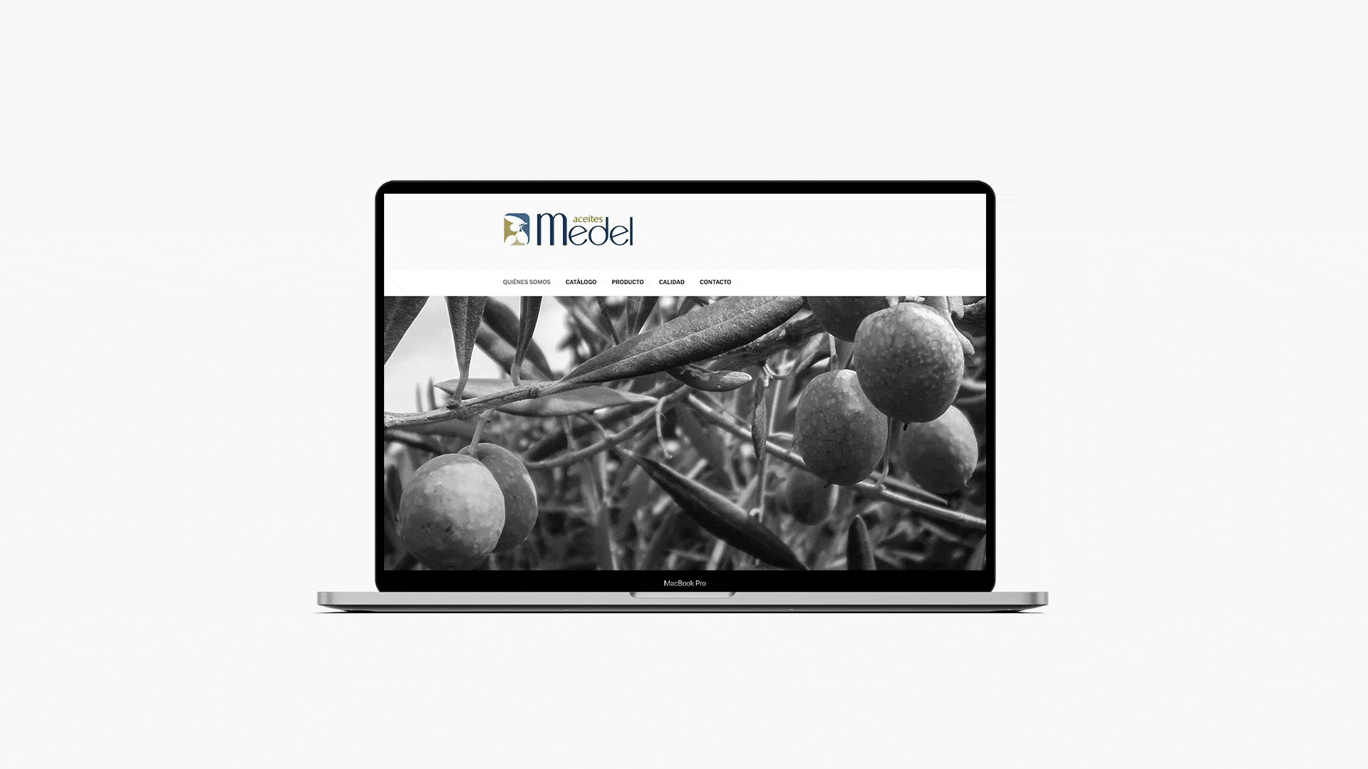 Aceites Medel web